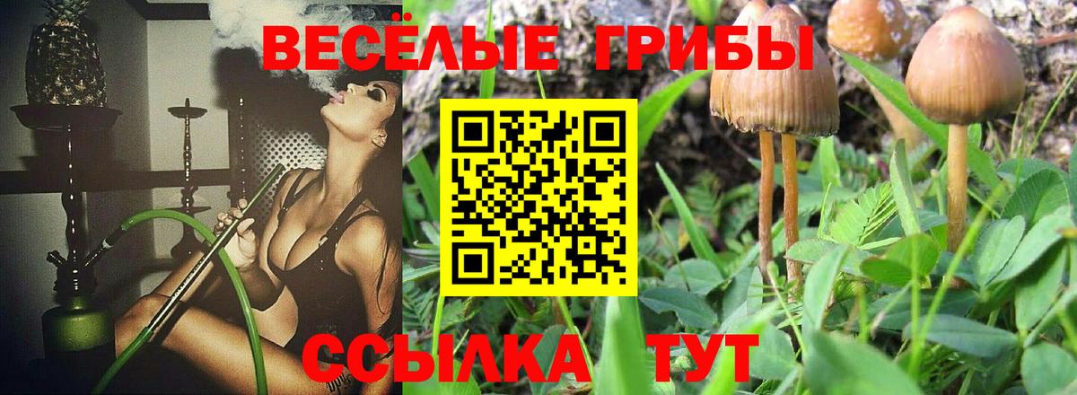Псилоцибиновые грибы Magic Shrooms Унеча