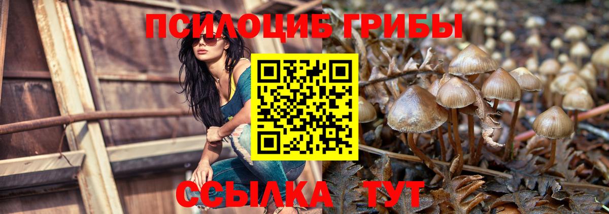Псилоцибиновые грибы Psilocybine cubensis  Вход с VPN  Унеча  Псилоцибиновые грибы MAGIC MUSHROOMS 